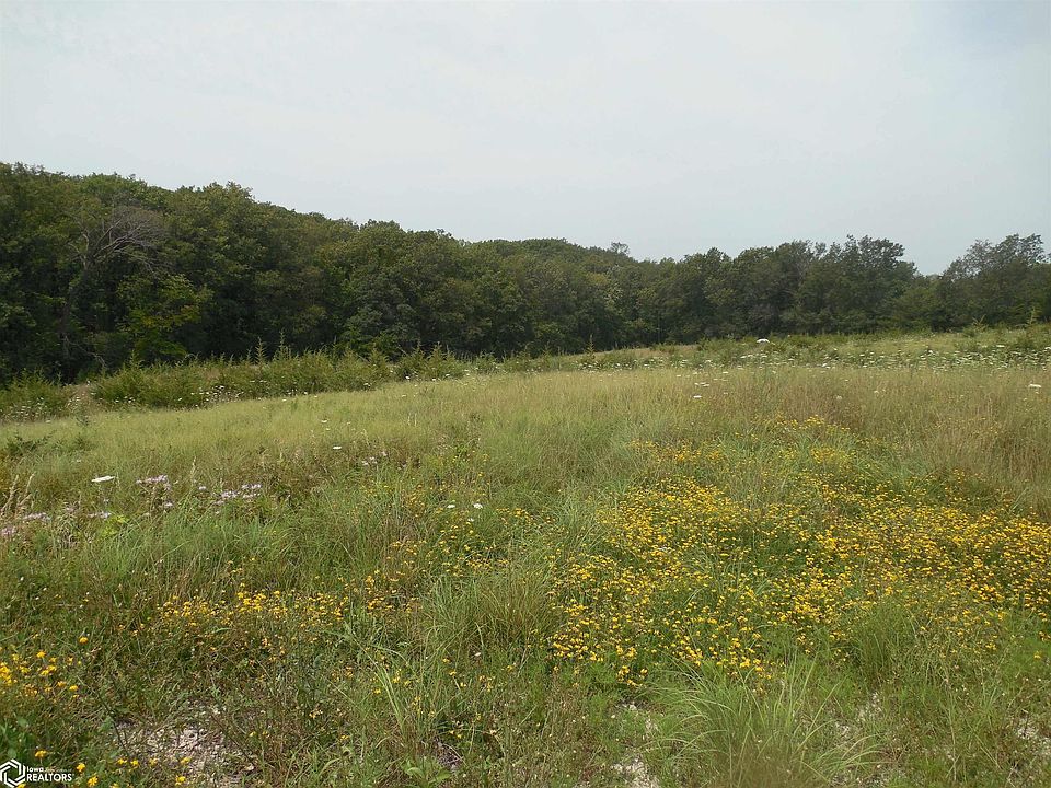 2nd image of Lake Rd