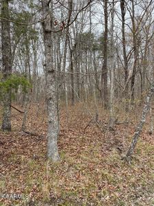 175 Brambleton Dr Lot 192, Crossville, TN, 38558