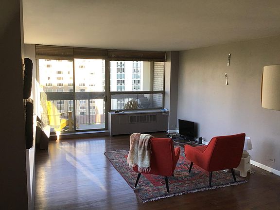 2nd image of 1355 N Sandburg Ter APT 1008