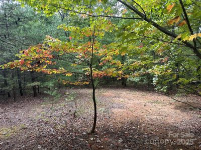 333 Mossy Oak Trl #164, Nebo, NC, 28761