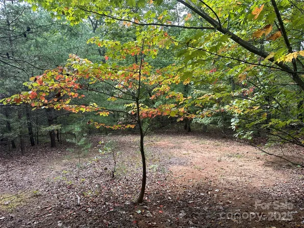 333 Mossy Oak Trl #164, Nebo, NC 28761