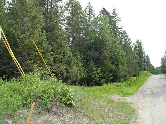 2nd image of Tamarack Ln