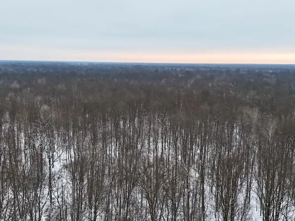 N Magruder Rd, Coleman, MI 48618