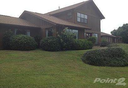 Nicely lalndscaped back yard