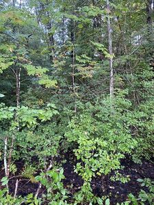 0 Greenwich Rd, Ware, MA, 01082