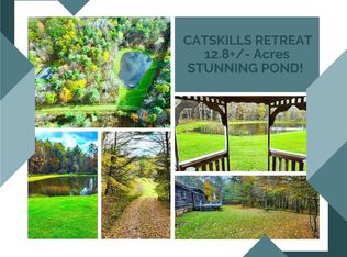 1460 Monkey Run Rd #3, East Meredith, NY 13757