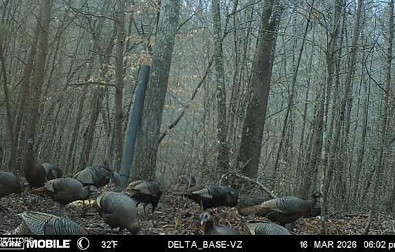 54th image of 596 Byrams Fork Rd