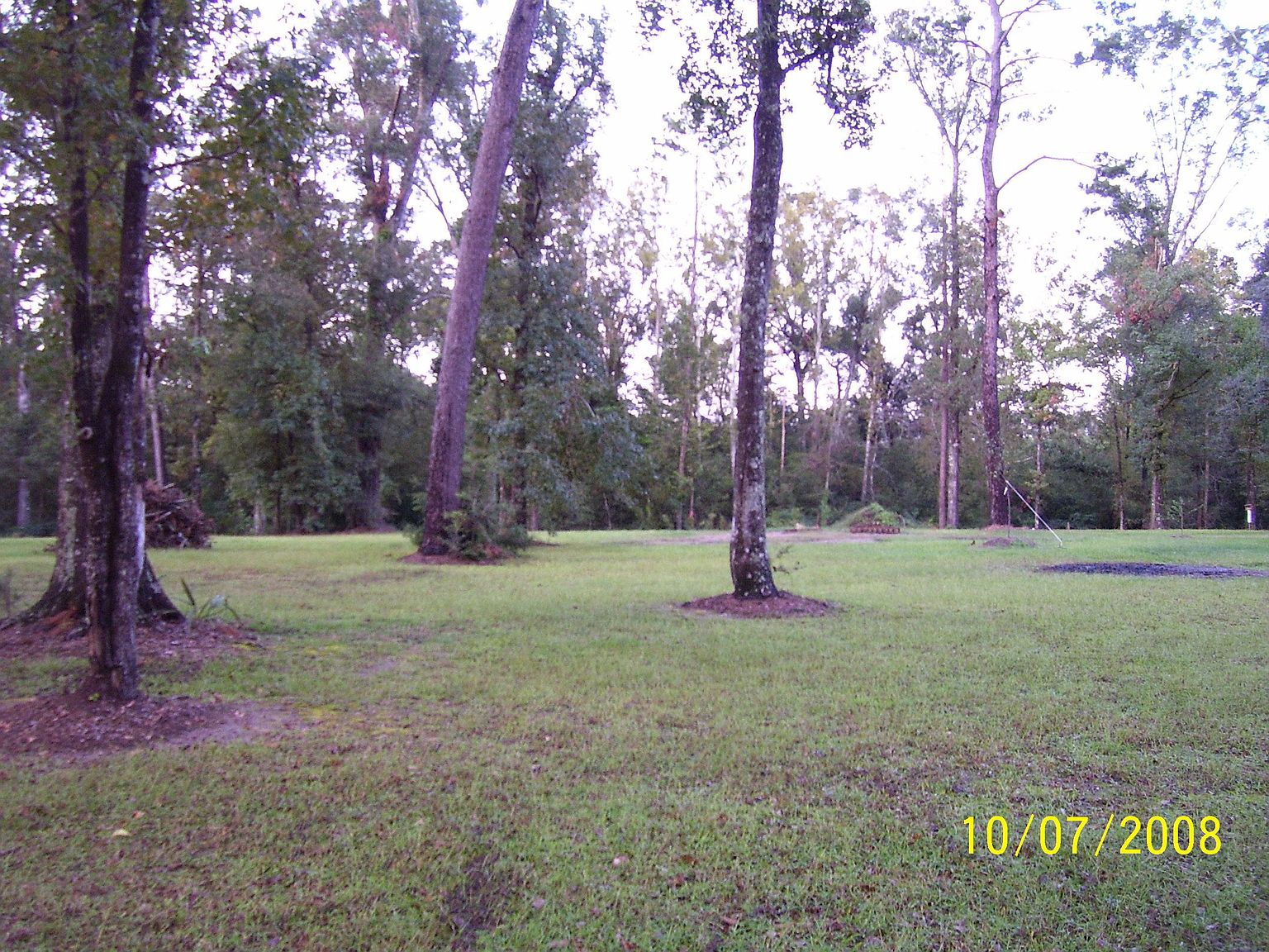 White Rd, Holden, LA 70744 Zillow