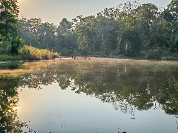 Butler Rd, Livingston, TX 77351