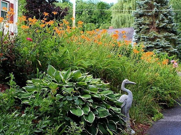 landscaping
