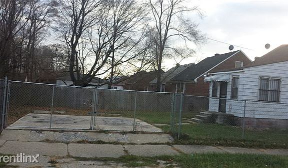 Rear yard_Driveway