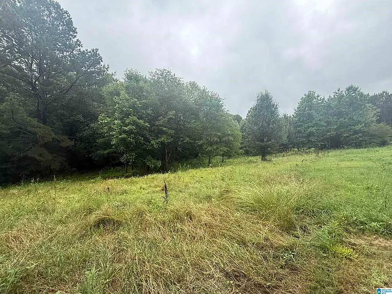337 County Road 555 — Photo 19