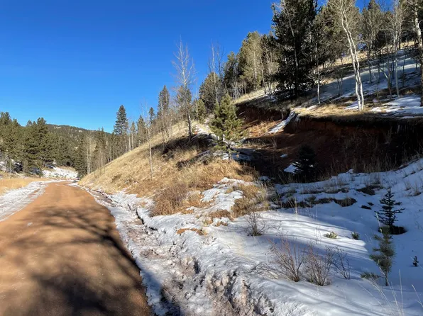 518 Willow Rd, Divide, CO 80814