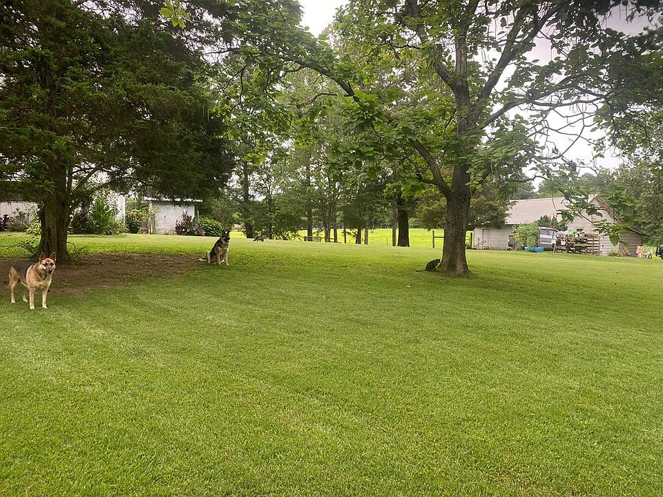 40th image of this home