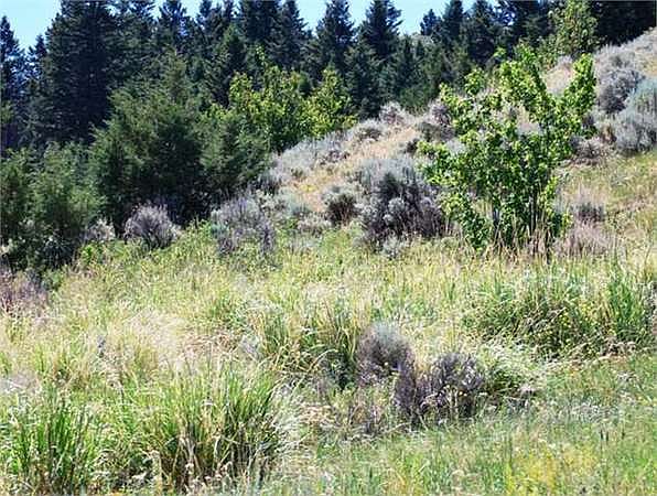 2nd image of Pole Gulch