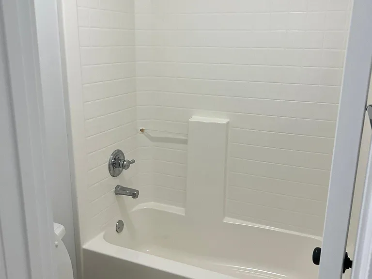 Hall bathroom toilet and shower.