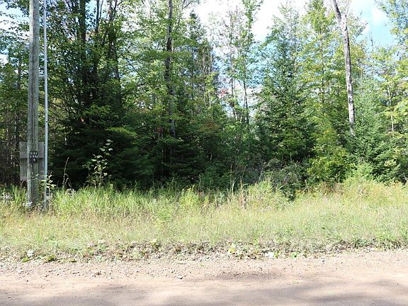 4th image of 10999 Koepke Road 3.6 Acres