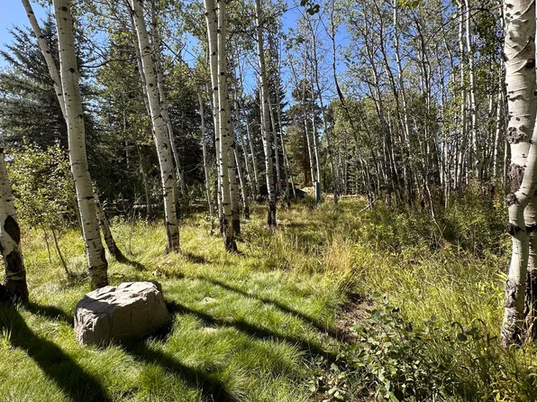 6190 Diamond Dell Cir, Kamas, UT 84036