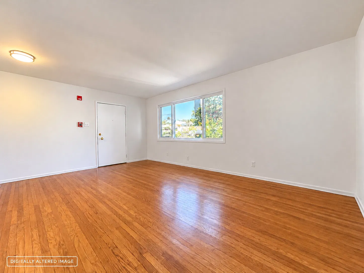 2 bed, $3,250 — Photo 2