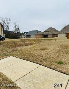 4313 Piland Park Cv #241, Olive Branch, MS, 38654
