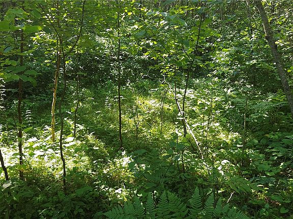 5th image of W743 Metcalf Road