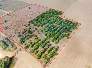 Collins Ranch Rd, Thonotosassa, FL 33592