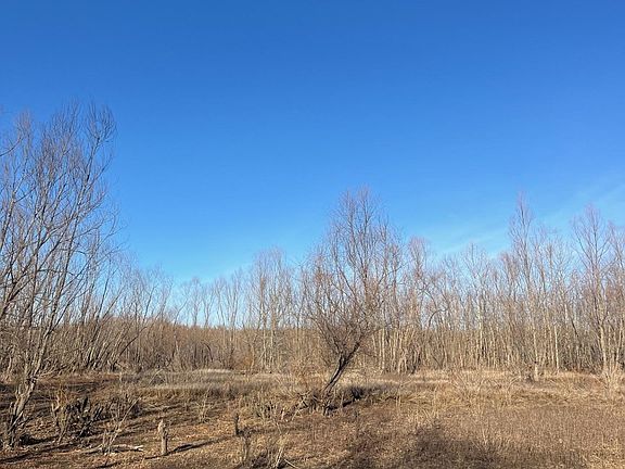 2nd image of 0 E Greene County Rd #840