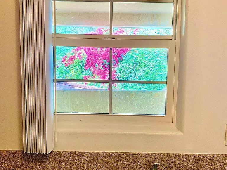 Kitchen Window view