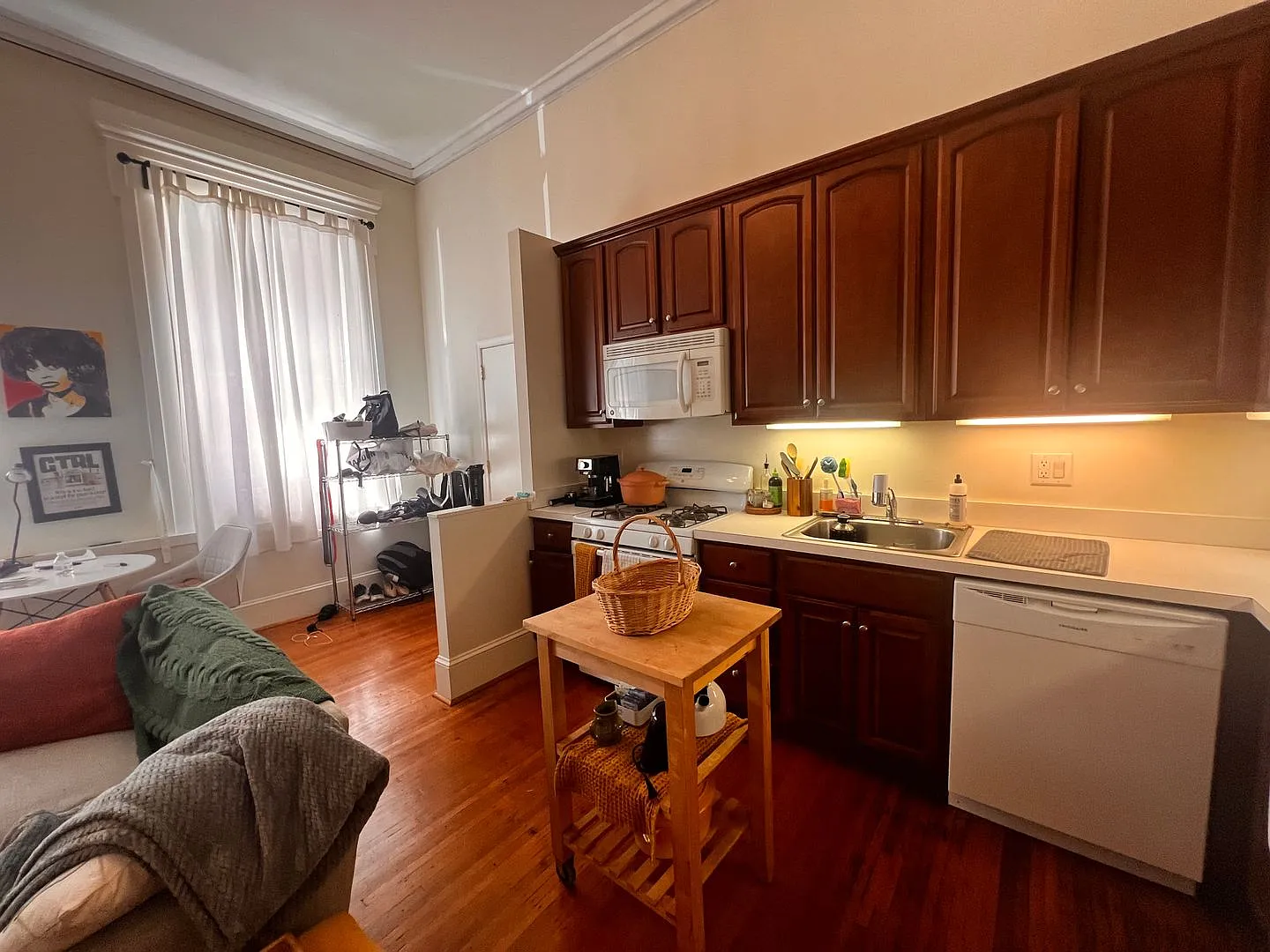 ISPE-1713 Spruce — Photo 3