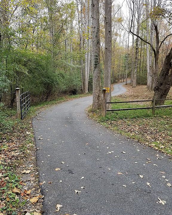 2nd image of 134 Wildflower Path