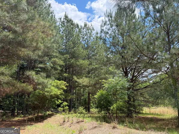 8 Little Sandy Creek Rd, Toomsboro, GA 31090