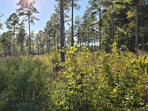 LOT 3 Christanna Hwy, Lawrenceville, VA 23868