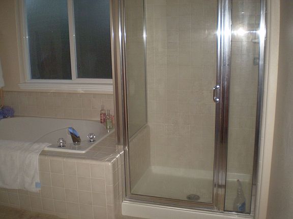 Master Tub and shower