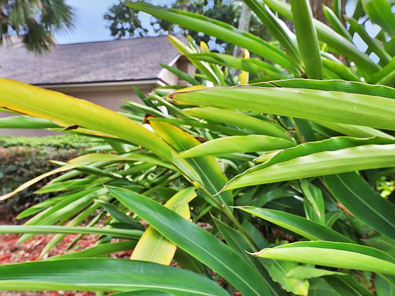 5th image of 13754 Bromley Point Dr