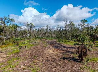 0 820th St, Steinhatchee, FL 32359
