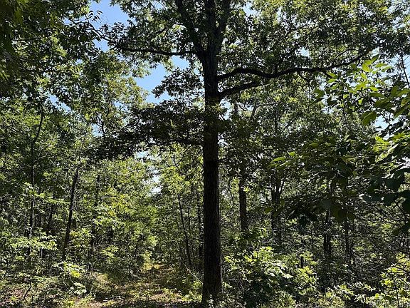 5th image of County Road 965 Grn