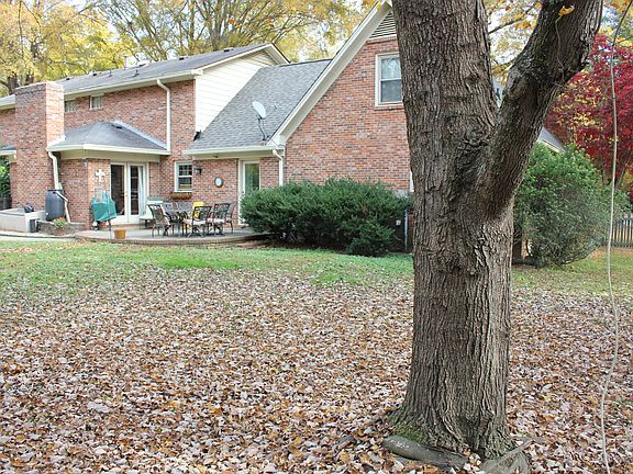 Fenced Back Yard