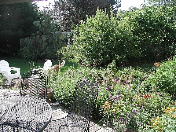 Secret perennial garden 