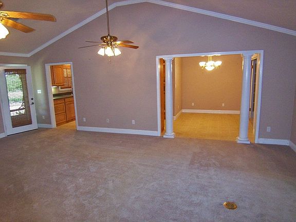 Living room vaulted ceiling