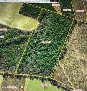 000 Sutton Road, Snow Hill, NC, 28580