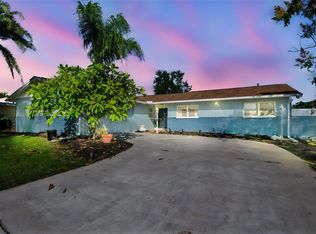 4701 Lodestone Dr, Tampa, FL 33615