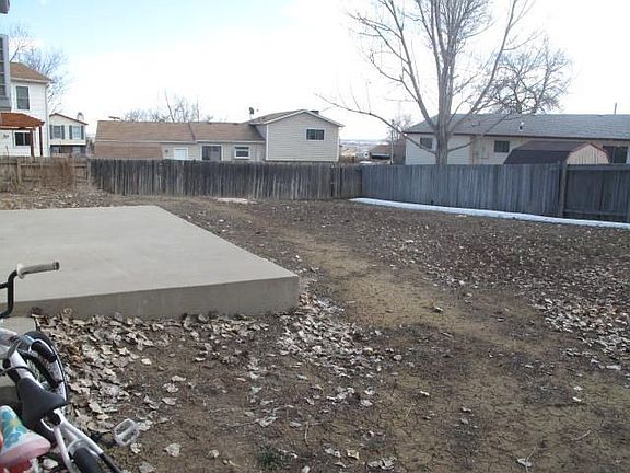 D-Back yard #1
