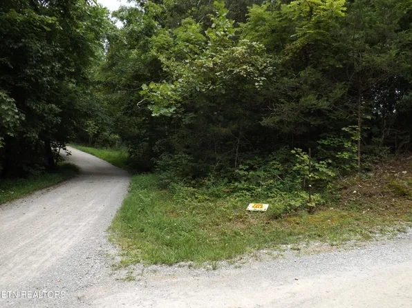 Roy Thomas Ln, New Tazewell, TN 37825