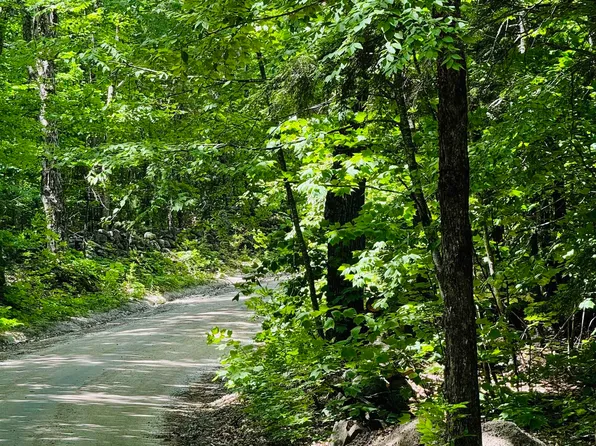 3/2 Farrell Hill Road #3/2, Deering, NH 03244