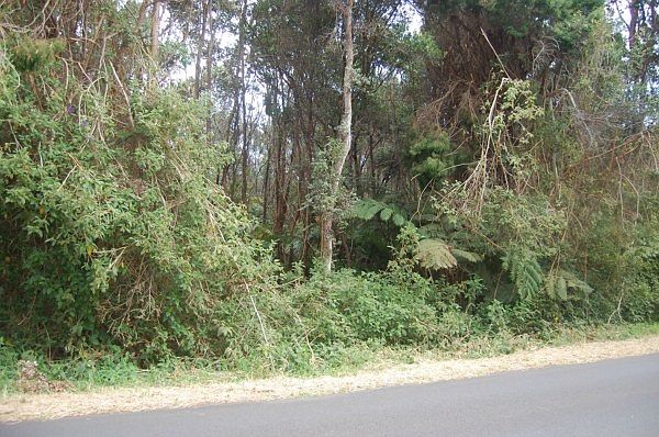 2nd image of Wright Rd Lot 6