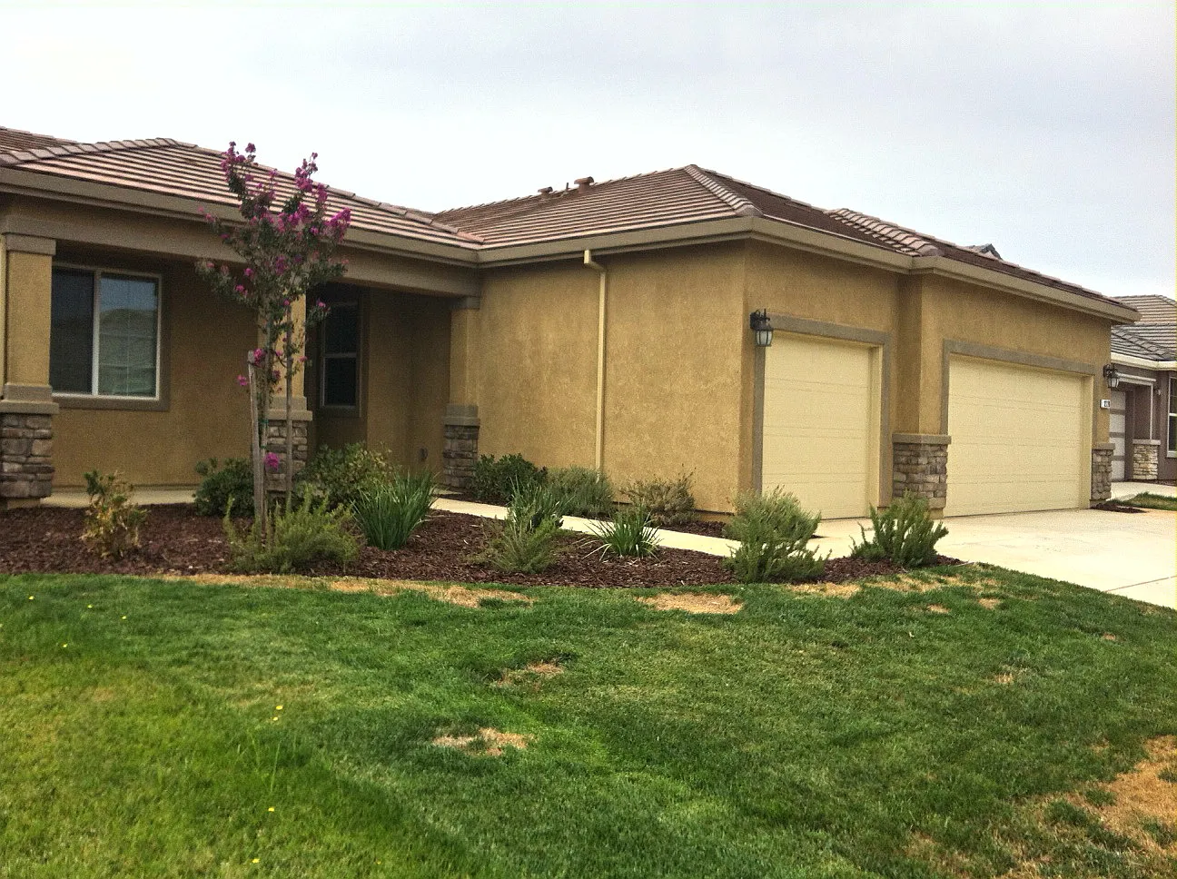 12278 Canyonlands Dr photo 1