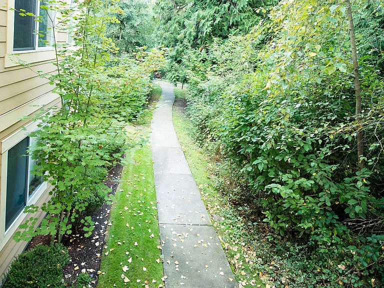 Outdoor Pathways