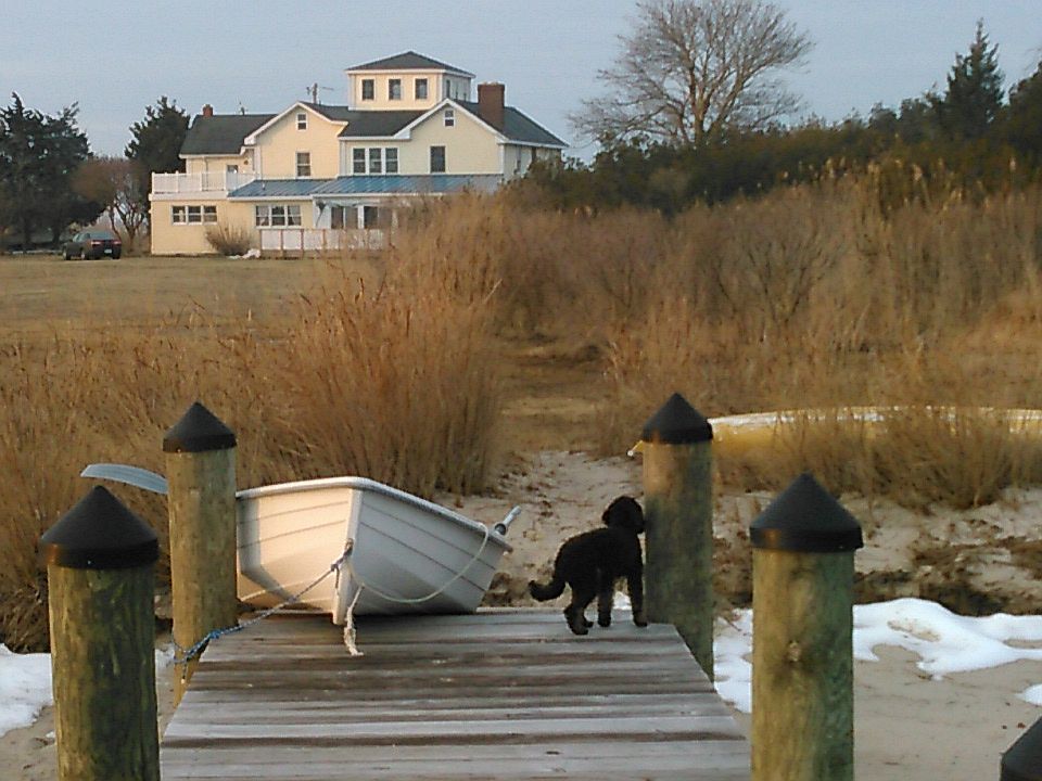 House from dock - Winter