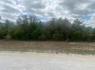 CLEFT ROCK ST LOT 11, WEBSTER, FL 33597