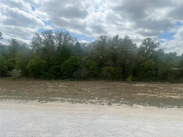 CLEFT ROCK ST LOT 11, WEBSTER, FL 33597